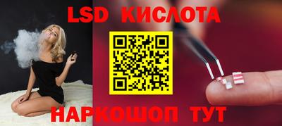 шишки Кинель