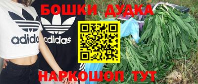 шишки Кинель