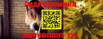 spice Кингисепп