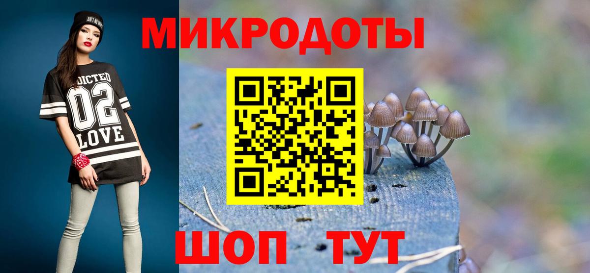 Гусев  Псилоцибиновые грибы мухоморы  Вход с VPN 
